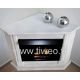 Fireplace ethanol corner granite clear