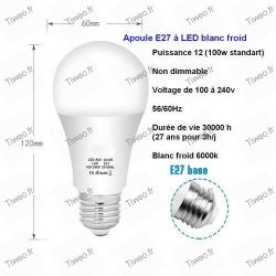 Ampoule LED E27 12W équivalent 100W blanc froid