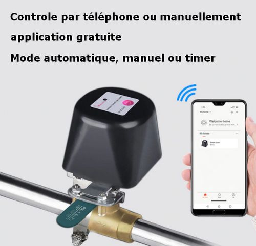 Valvola rubinetto wifi intelligente, irrigazione automatica