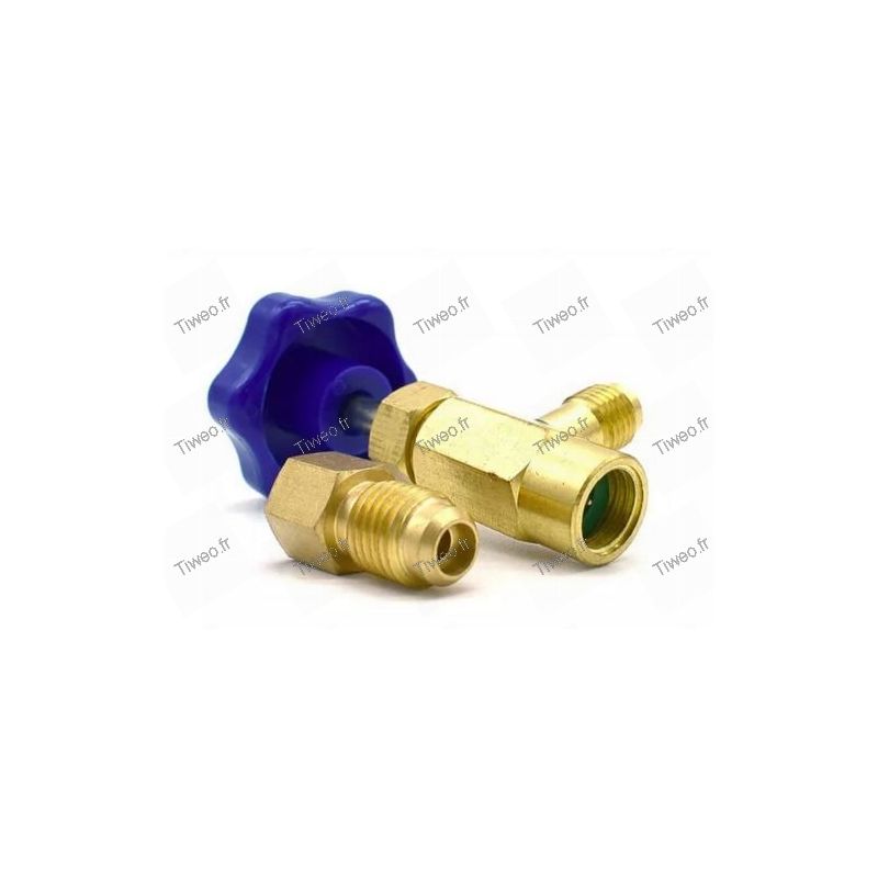 Bouteille De Gaz R290 430g Pour Recharge Frigo, Cave à Vin – Avec Robinet 1/4″ Mâle – Fluide Réfrigérant
