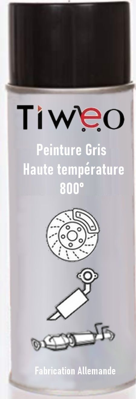 Peinture haute température Gris 800°