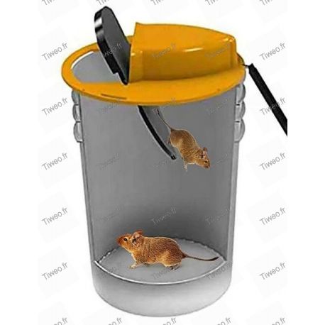 Effective mouse store traps
