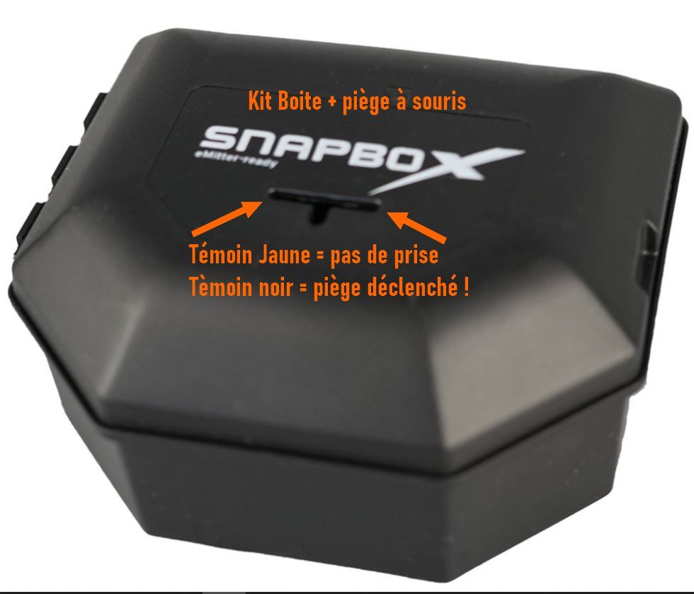 Mouse trap with SnapBox security box
