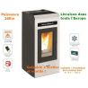 Powerful pellet stove of 16KW ducted 2 air outlets and remote control